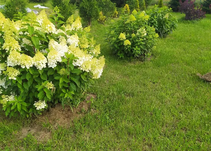 Сasa de vacaciones Na Trawie